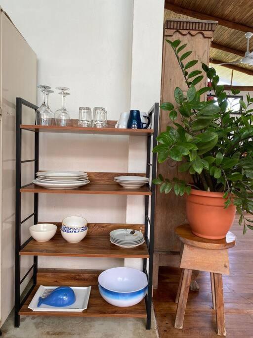 Tropical - Airy, Open Plan Apartment In Heart Of Santa Teresa Playa Santa Teresa  Exterior photo